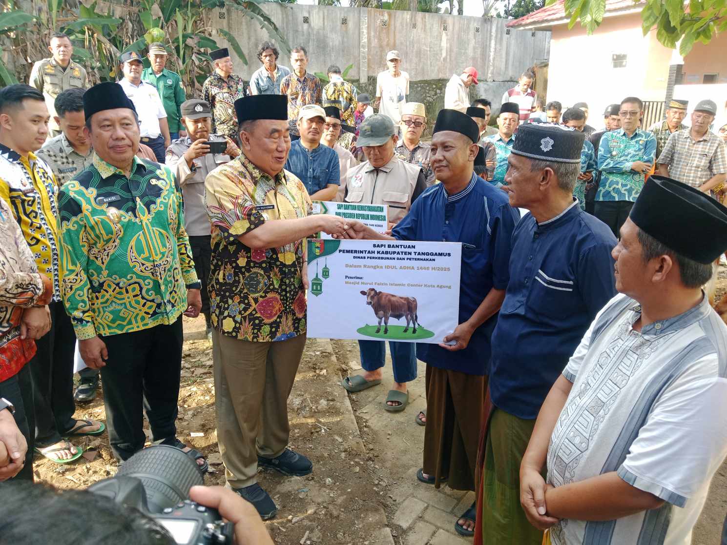 Bupati Tanggamus Serahkan Hewan Kurban Prabowo dan Pemkab di Masjid Agung Nurul Faizin