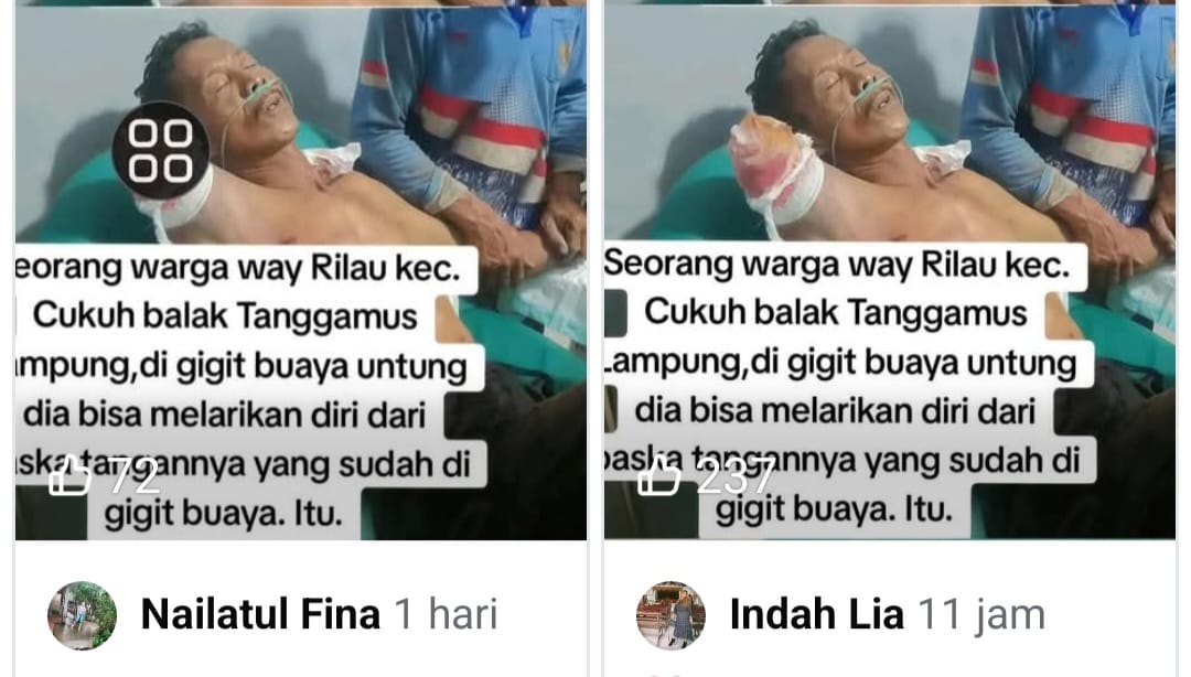 Hoaks, Postingan Akun Facebook Amara, Mery Herdianty, Nailatul Fina, Indah Lia dan Seputar Pringsewu soal Serangan Buaya di Way Rilau Tanggamus