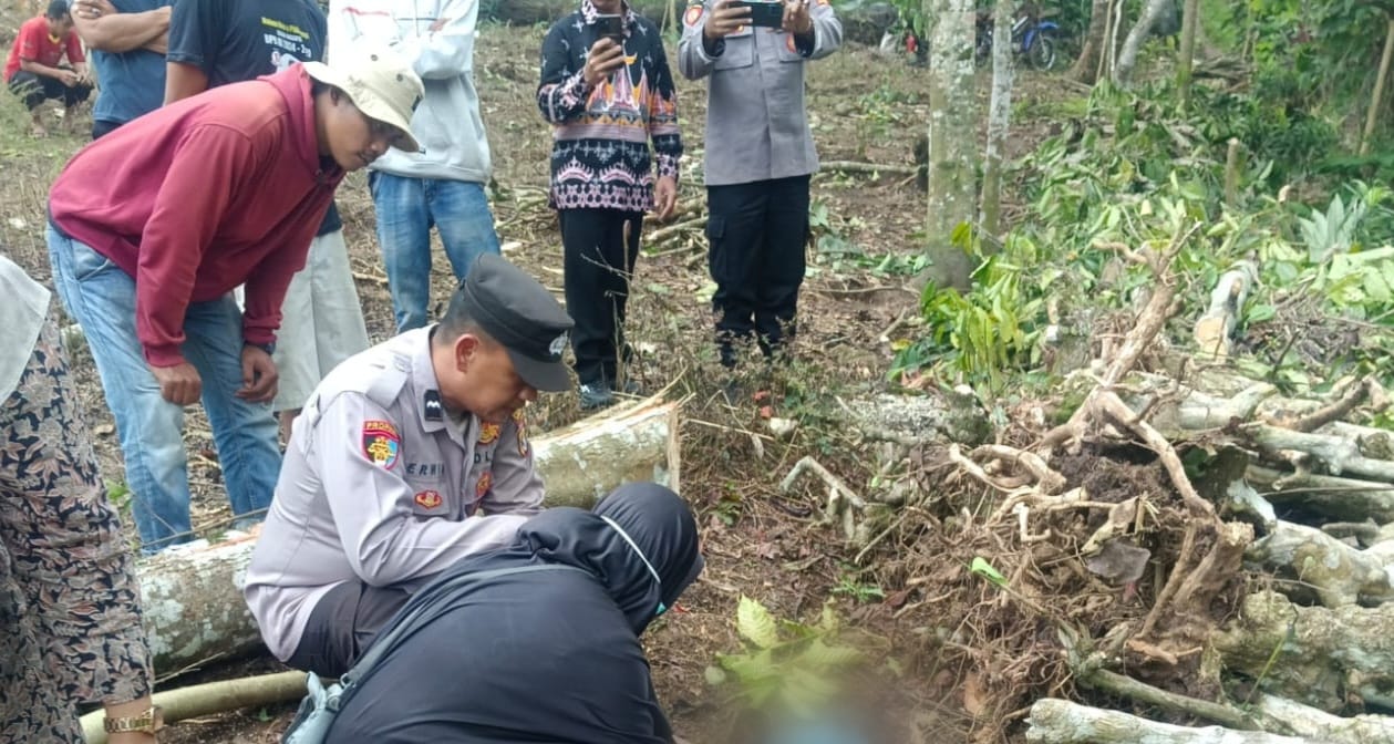Polsek Sumberejo Identifikasi Korban Meninggal Dunia Tertimpa Pohon di Kebun Warga