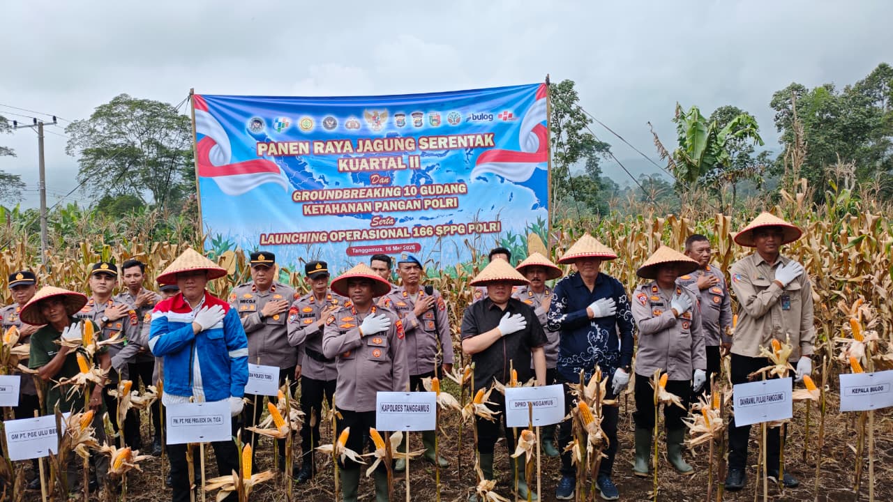 Polres Tanggamus Gelar Panen Raya Jagung Kuartal II 2026 Serentak di Ulu Belu
