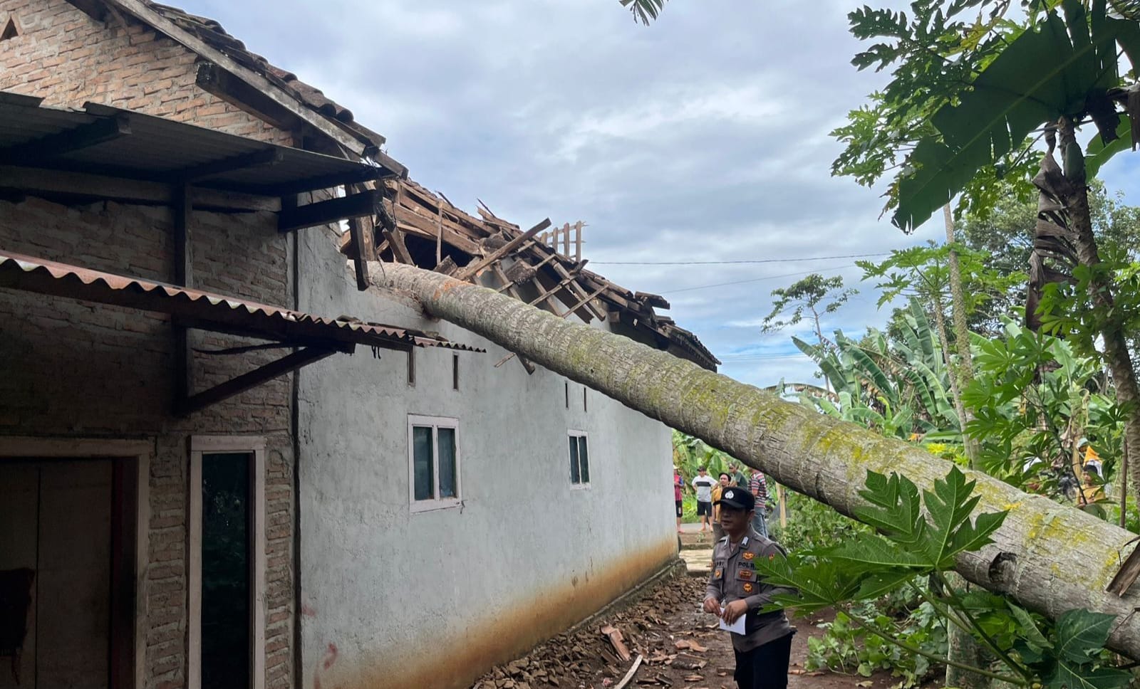Polsek Pulau Panggung Identifikasi Rumah Tertimpa Pohon Kelapa