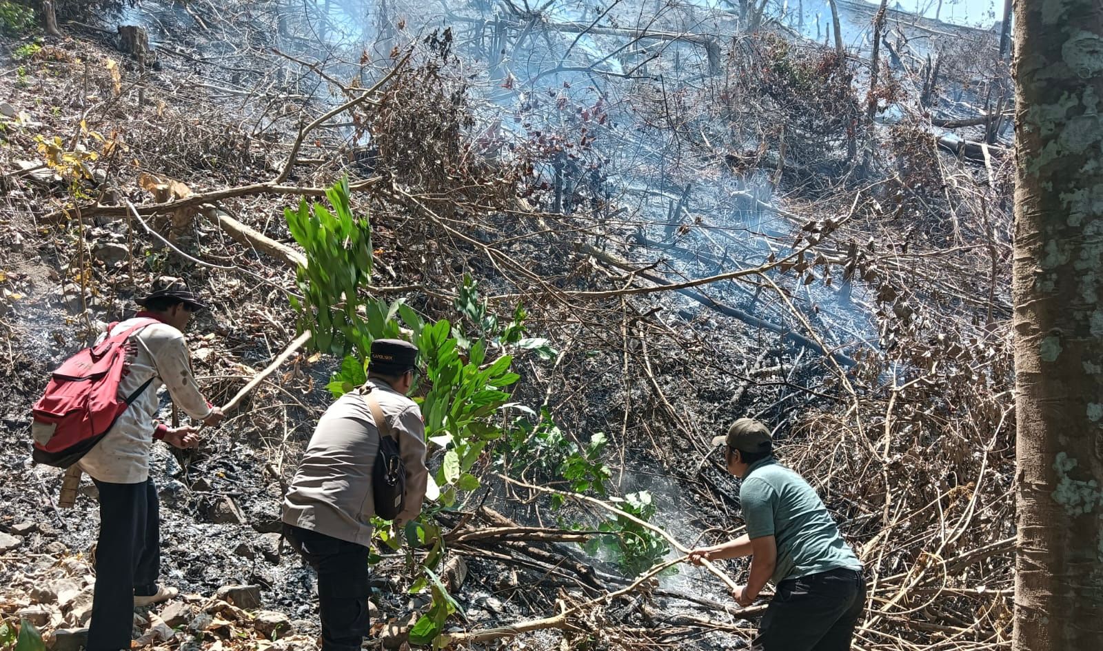 Polsek Limau Cek Titik Hotspot di Pekon Umbar Tanggamus, Api Hanguskan Setengah Hektare Lahan